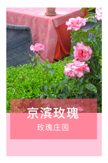 京滨玫瑰庄园景区微信小程序二维码