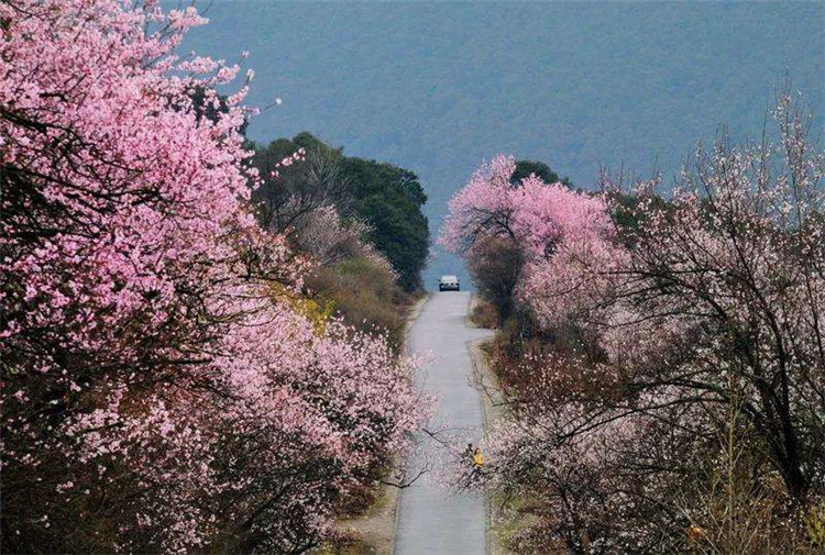 乡村旅游规划3大经典案例2.jpg