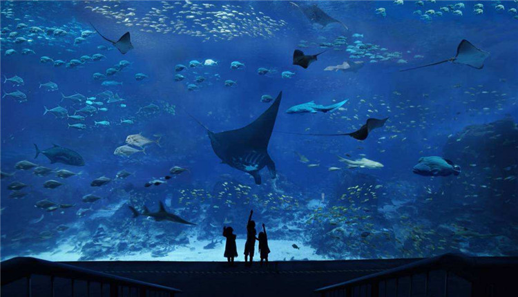 博物馆海洋馆动物园植物园实名制分时预约系统需要多少钱2.jpg