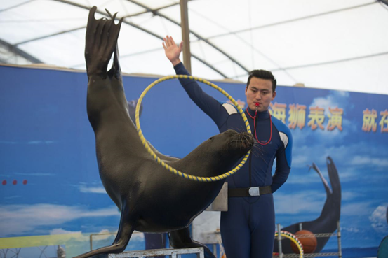 同业异质异地联盟福利来了，双龙峡避暑套餐门票全部上线，还可凭工体富国海底世界门票享双龙峡8折优惠！.png