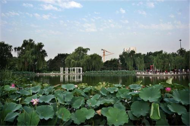 2020年北京丰台花园智能电子导览、语音讲解、手绘地图上线了2.jpg