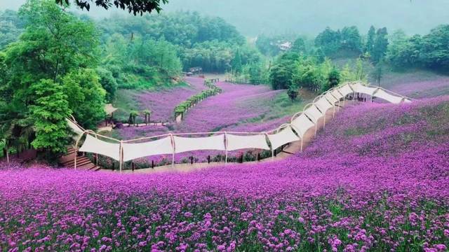 四川天府花溪谷手绘地图、语音讲解、电子导览等智能导览系统上线啦.jpeg