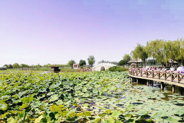 宁夏鸣翠湖国家湿地公园4A景区手绘地图、语音讲解、电子导览等智能导览系统上线.jpg