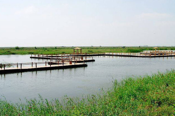 内蒙古包头南海湿地景区手绘地图、语音讲解、电子导览等智能导览系统上线.jpg