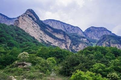 2021年九女峰景区语音讲解功能上线，让游客更深入了解景区人文历史.jpg