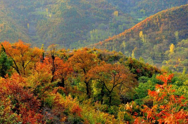 郑州荥阳3A环翠峪风景区电子导览系统上线，游环翠峪景区看太行猕猴.png