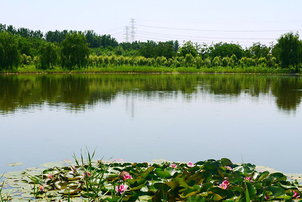 石家庄清凉湾湿地公园智能导览四大功能助力景区打造生态文化乐园.qiniudn.jpg