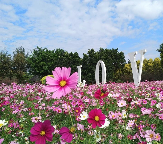 花都香草世界智慧电子导览带你了解以花为主的特色美食农家菜.png