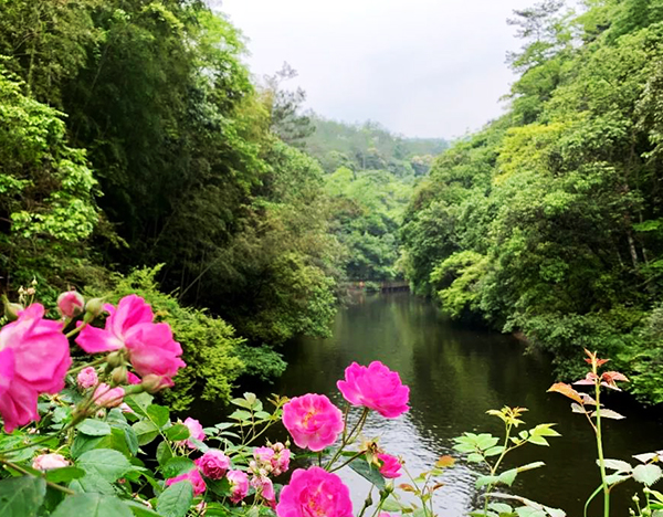 河北九龙潭风景区智慧电子导览.jpg