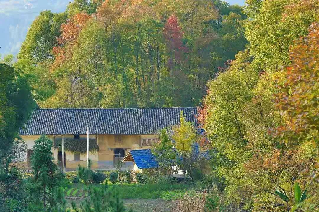 三峡链子崖旅游生态鸿蒙原子化制作公司.jpg