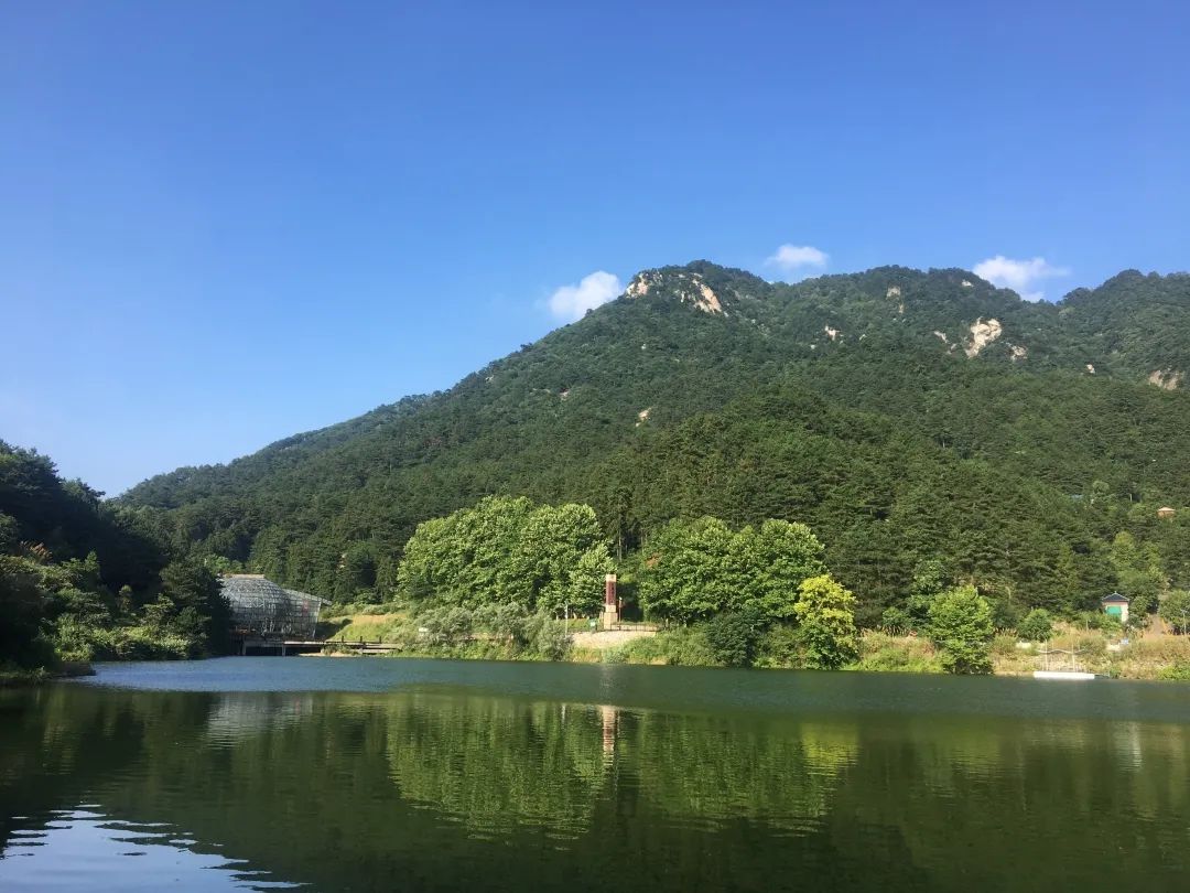 龟峰山风景区鸿蒙原子化服务上线.jpg