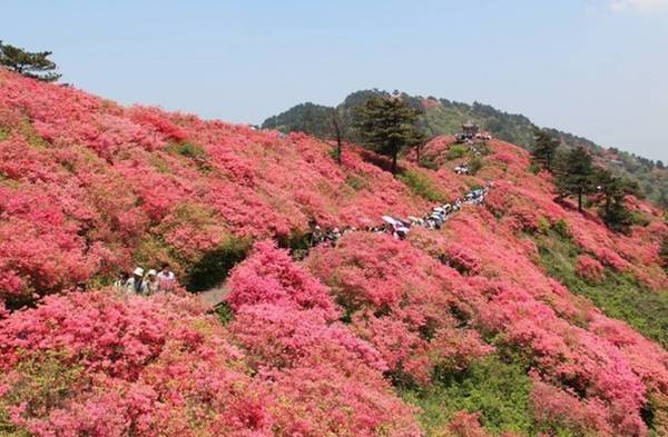 龟峰山风景区鸿蒙原子化服务商小泥人.jpeg