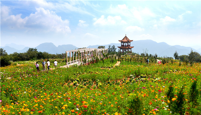 露营基地帐篷公园点餐收银售检票系统.jpg