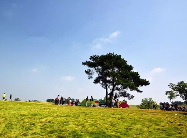 武汉木兰草原风景区电子导览报价.jpg