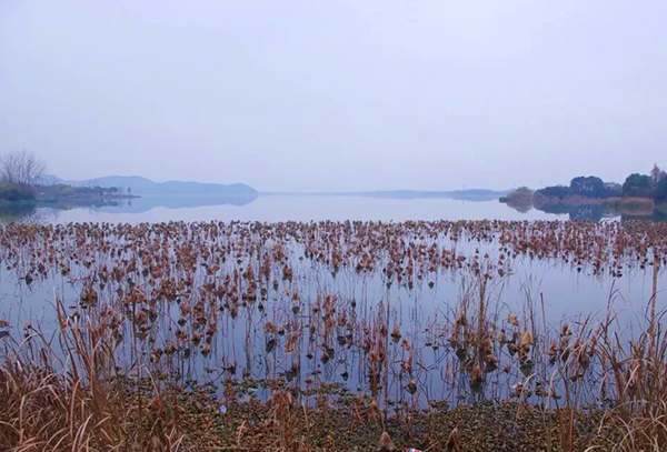 武汉东湖吹笛景区手绘地图导览制作公司.jpg