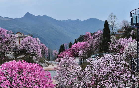 绵阳北川药王谷小程序导览功能.png