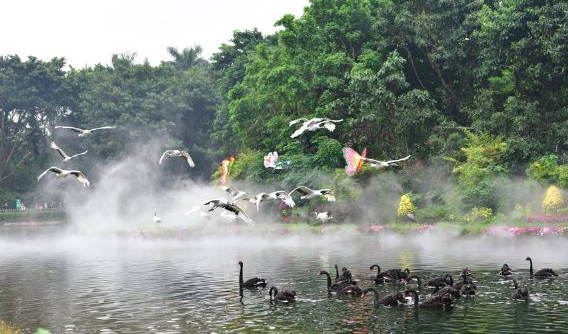 景区大数据分析平台对旅游景区发展的重要性.png