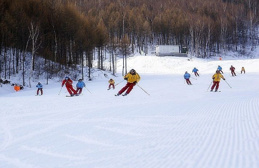 滑雪场分时预约系统的应用有效实现客流控制.png