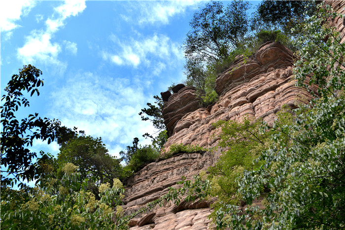 旅游景区电子票系统公司.jpg