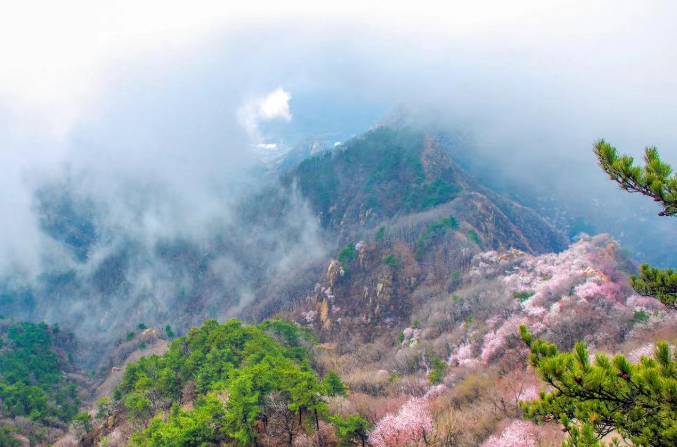 天津盘山风景名胜区多商户多业态系统方案.png