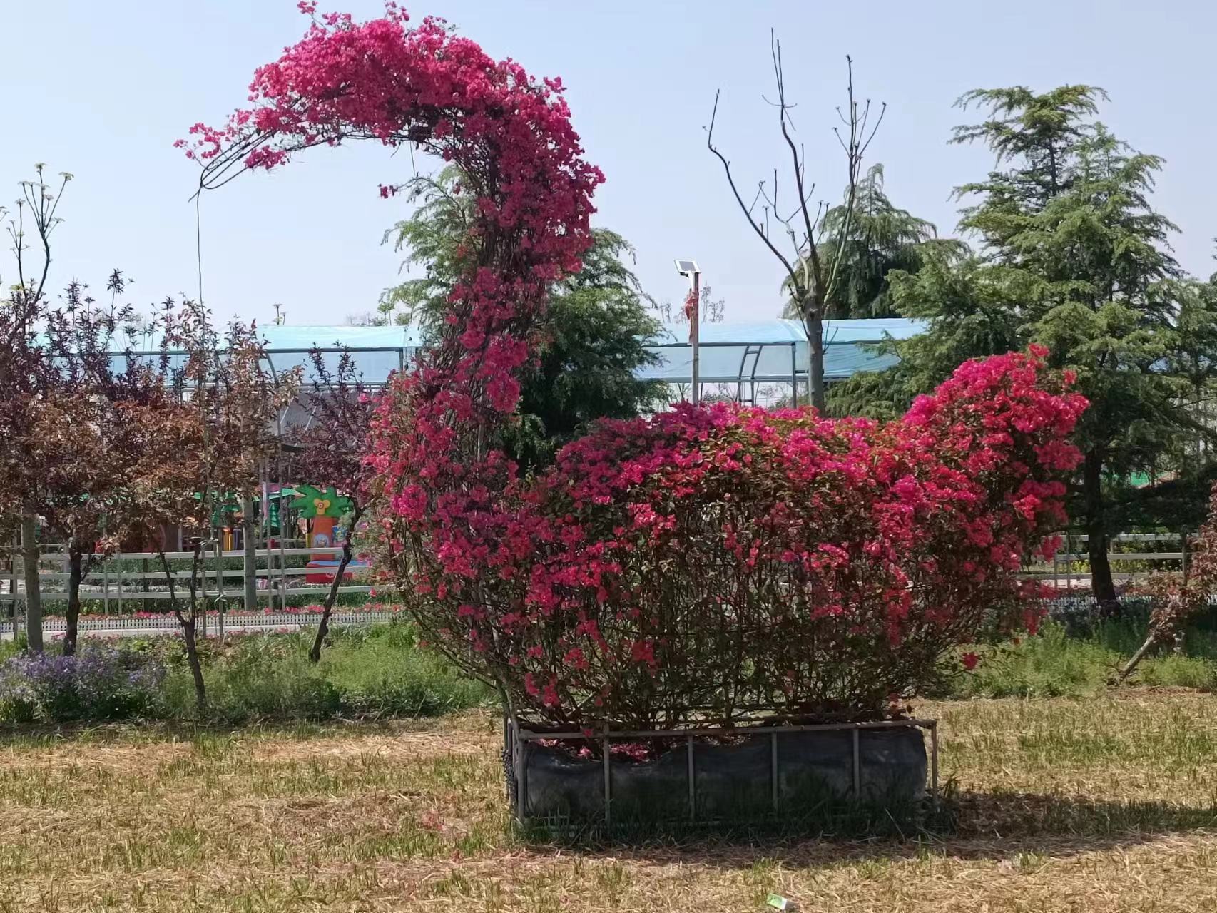 旅游景区电子票系统为五一客流高峰提供方便.jpg