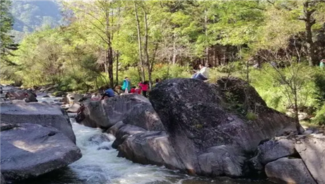 旅游景区票务系统全渠道营销.png