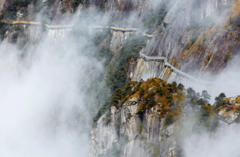 武功山金顶露营基地多业态景区管理系统方案.png