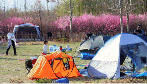 露营基地在线选座系统价格怎么算.png