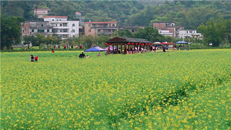 景区票务系统分销功能小程序分销平台搭建全民分销.png