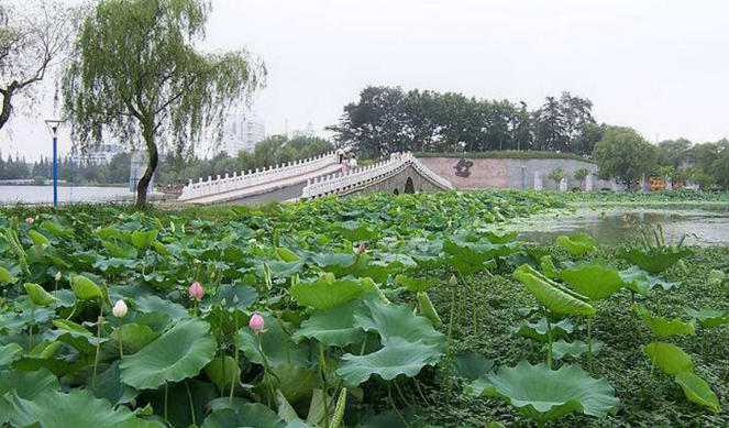 江苏淮安市景区票务管理系统基本概念.png