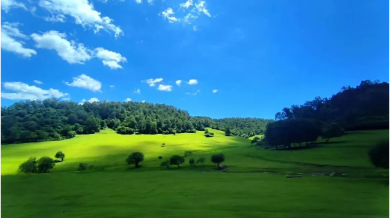 宝鸡关山草原景区票务系统功能.png