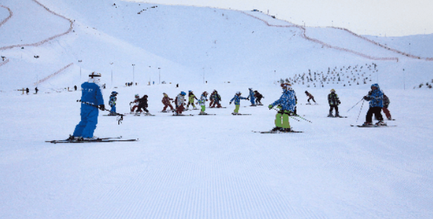 新疆哈密松树塘滑雪场票务管理系统多少钱.png