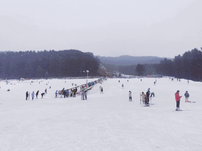 青海西宁市康乐山庄滑雪场综合票务系统功能.png