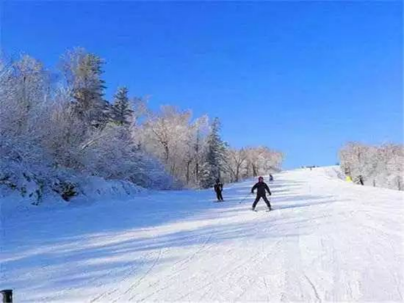 黑龙江哈尔滨月亮湾滑雪场综合管理系统公司.png