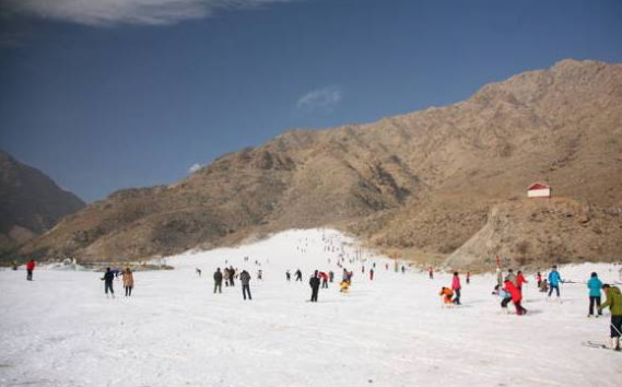 宁夏银川沙湖滑雪场票务管理系统.png