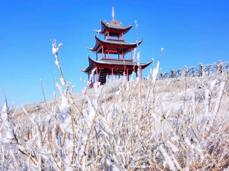 山西朔州右玉冰雪嘉年华票务系统价格.png