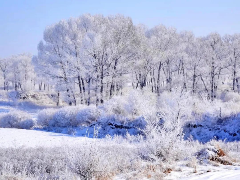 河北唐山半亩方塘冰雪嘉年华电子票系统公司.png