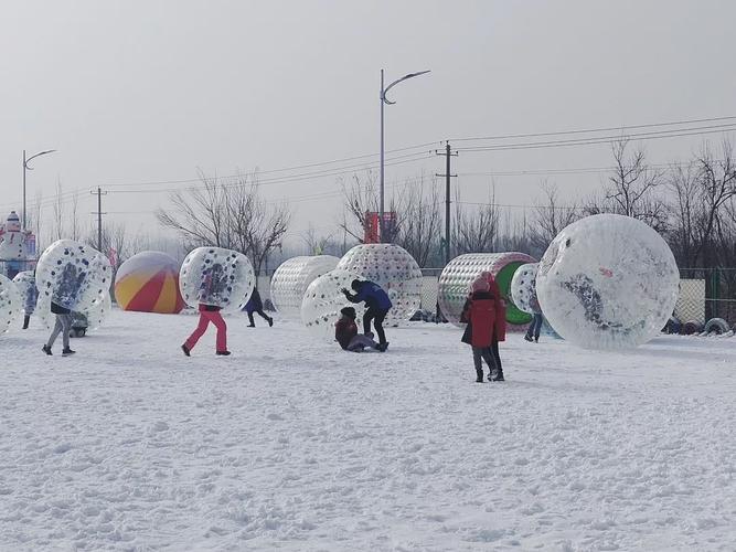 北京国际鲜花港冰雪嘉年华押金管理系统多少钱.jpeg