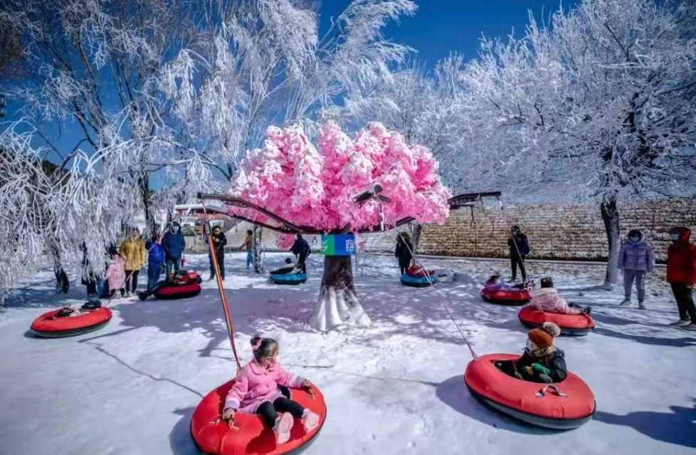 日照天台山旅游区冰雪乐园新型通道闸机功能.png