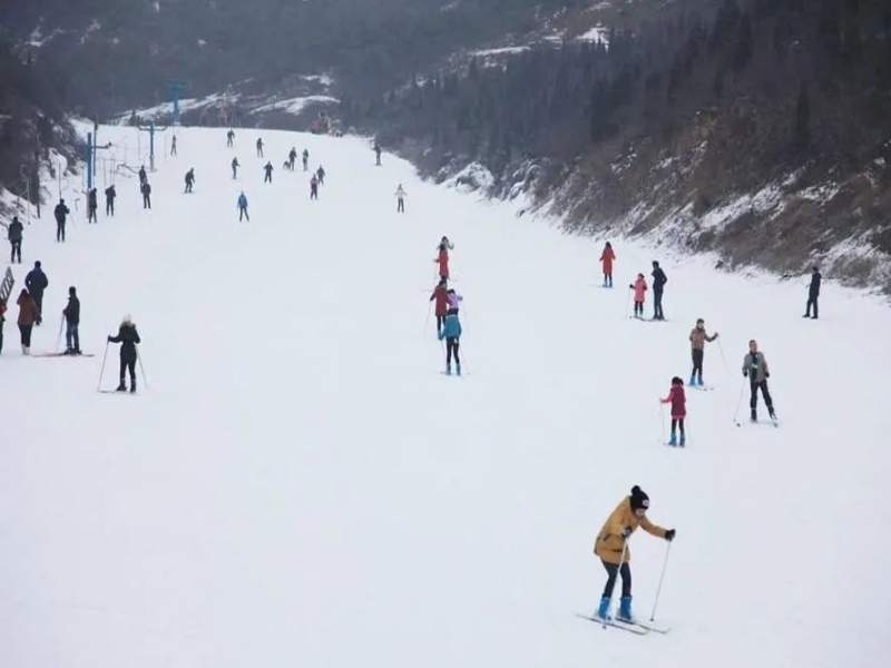 山西省晋中市多喜爱儿童戏雪乐园电子票系统公司.png