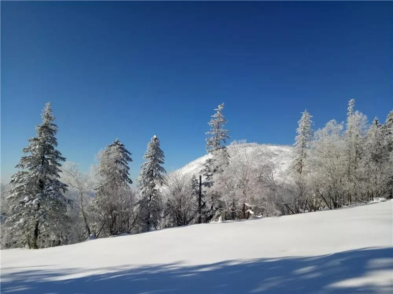 河北秦皇岛山海国际冰雪大世界押金系统功能.png