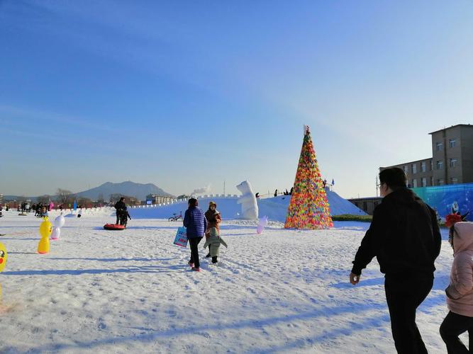 中旅光影（天津）集团有限公司戏雪乐园多商户管理系统多少钱.jpeg