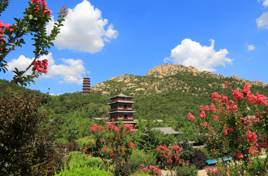 威海石岛赤山风景区票务管理系统公司.jpg