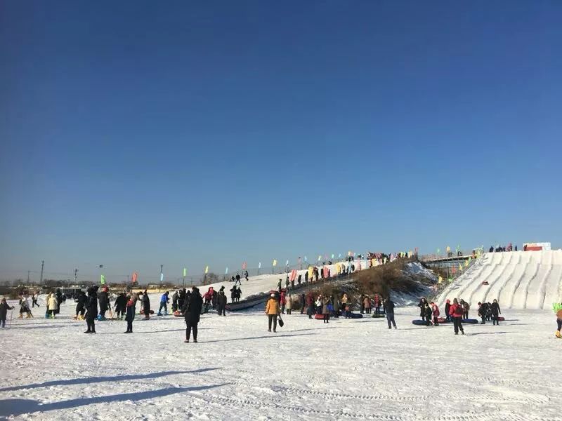 河北沧州乐寿寺滑雪场介绍及需求.jpeg