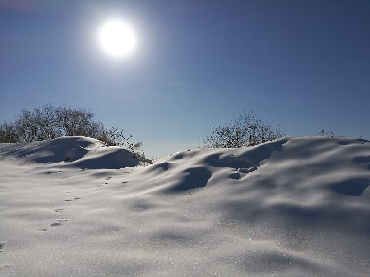 天津绿动雪乡票务分销系统功能需求.jpg