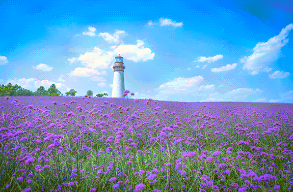 四川成都紫颐香薰山谷景区智慧景区小程序优势.png