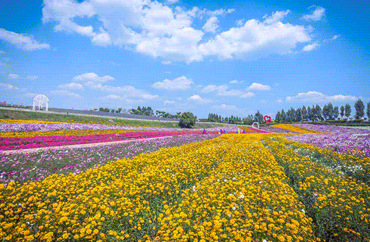 四川成都紫颐香薰山谷景区智慧景区小程序方案.png