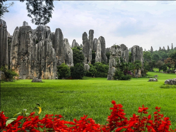 云南昆明市石林风景区电子票管理系统价格.png