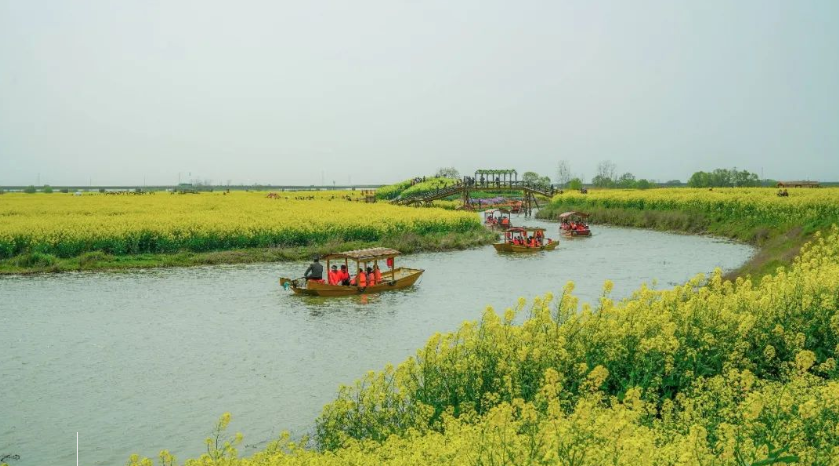 江苏高邮清水潭旅游度假区综合智能票务管理系统功能.png