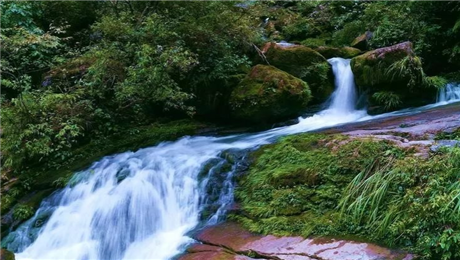 智慧景区旅游平台自动售检票系统的深度应用.png